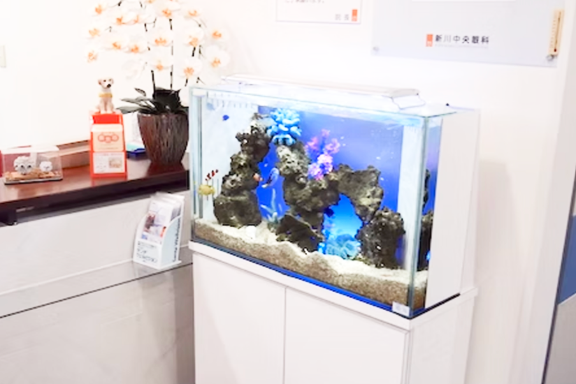 院内の水槽